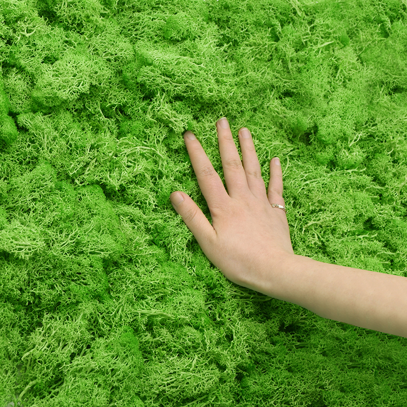 20/40g Artificial Green Plants - Terrarium Moss Art incelemesi ve fiyatı