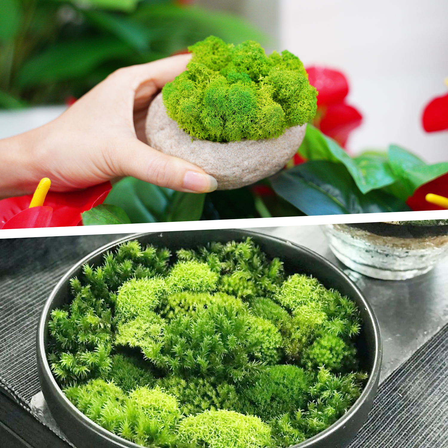 Artificial Green Plants Eterna - Terrarium Moss Art incelemesi ve fiyatı
