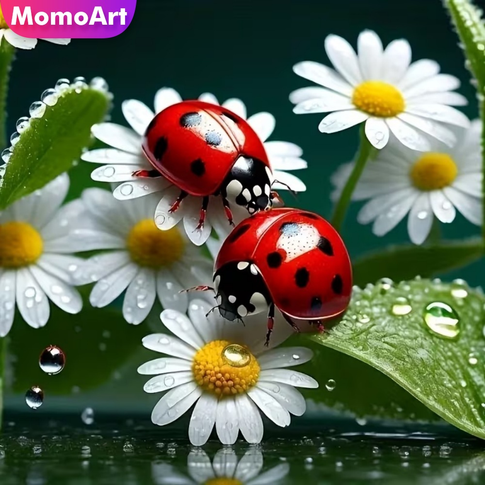 Momoart Diamond Painting Ladyb - Resin Craft For Beginners incelemesi ve fiyatı