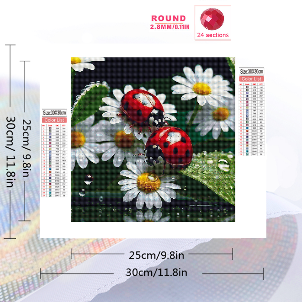 Momoart Diamond Painting Ladyb - Resin Craft For Beginners incelemesi ve fiyatı