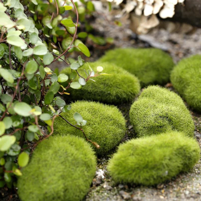 4Pcs Micro Landscape Artificia - Terrarium Moss Art incelemesi ve fiyatı