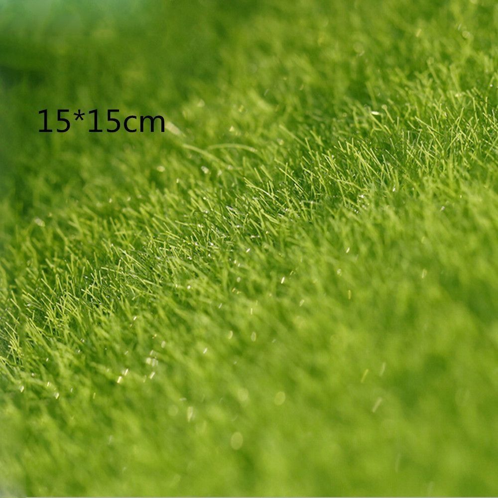 Ecological Lawn Decor Garden O - Terrarium Moss Art incelemesi ve fiyatı