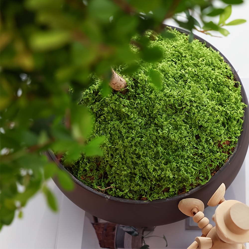 1pack Artificial Fake Moss, 1. - Terrarium Moss Art incelemesi ve fiyatı