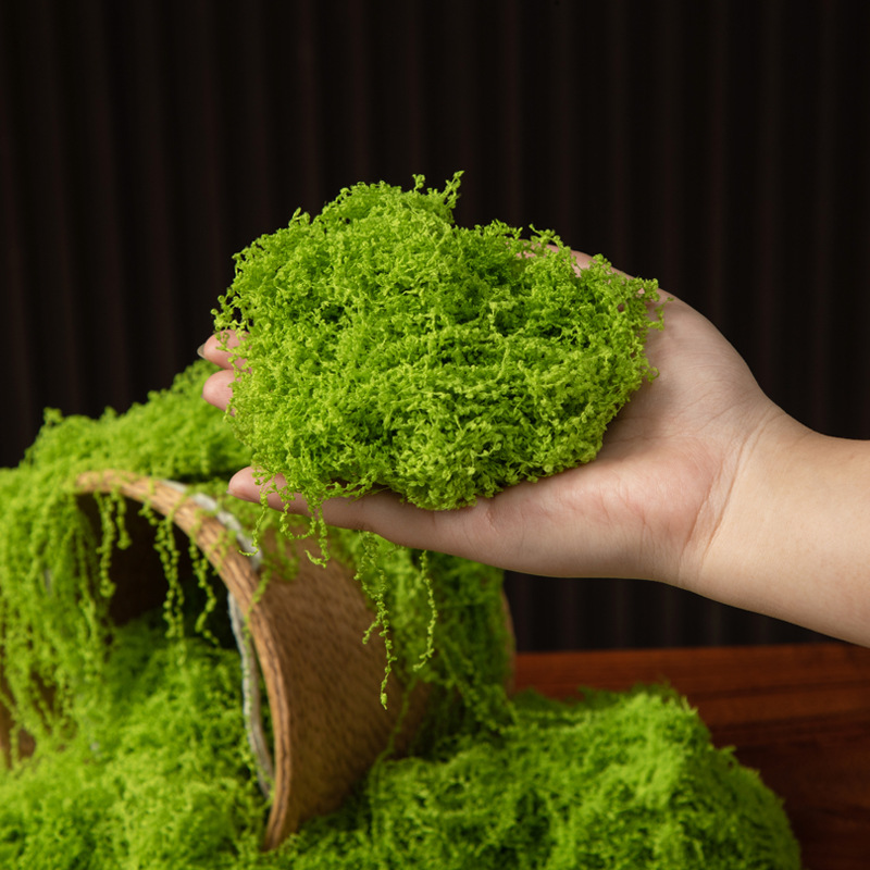 200g Eternal Life Moss DIY Cra - Terrarium Moss Art incelemesi ve fiyatı