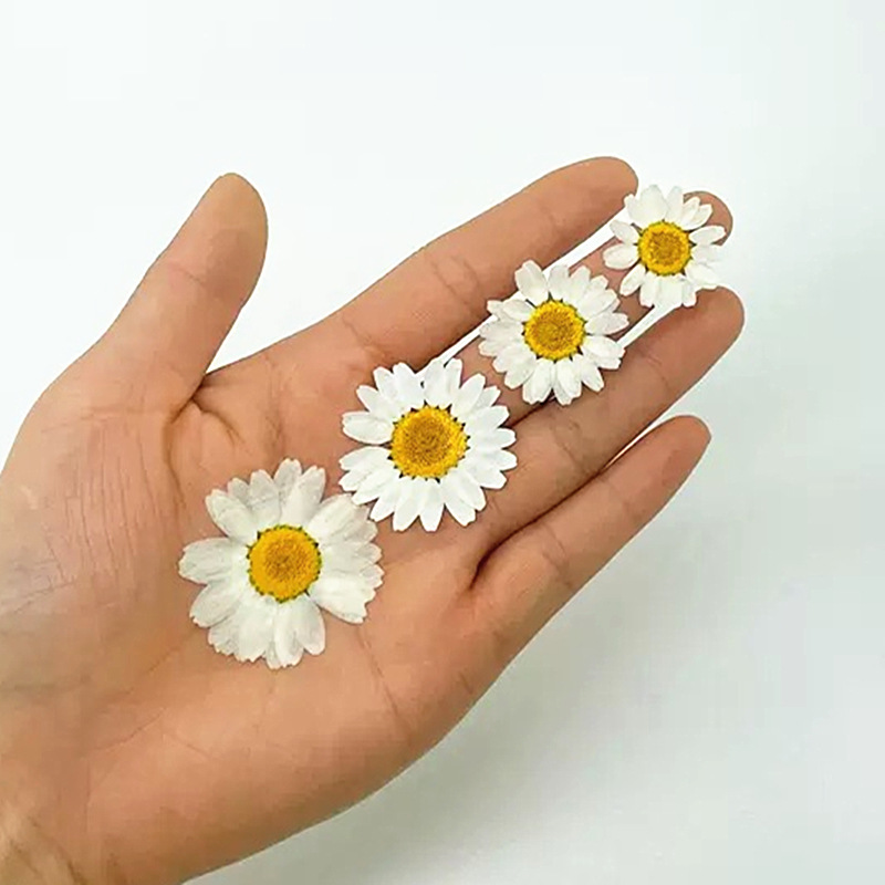 100Pcs Natural White Crystal C - Resin Craft Ideas incelemesi ve fiyatı