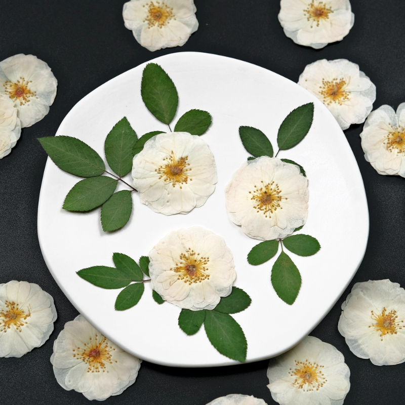 6pcs,9pcs,Nature White Rose Pr - Resin Craft Ideas incelemesi ve fiyatı