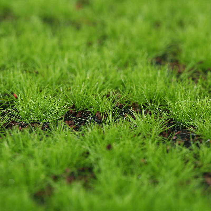 Artificial Moss Fake Green Mos - Terrarium Moss Art incelemesi ve fiyatı