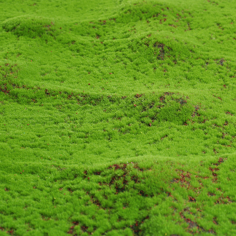 Artificial Moss Fake Green Mos - Terrarium Moss Art incelemesi ve fiyatı