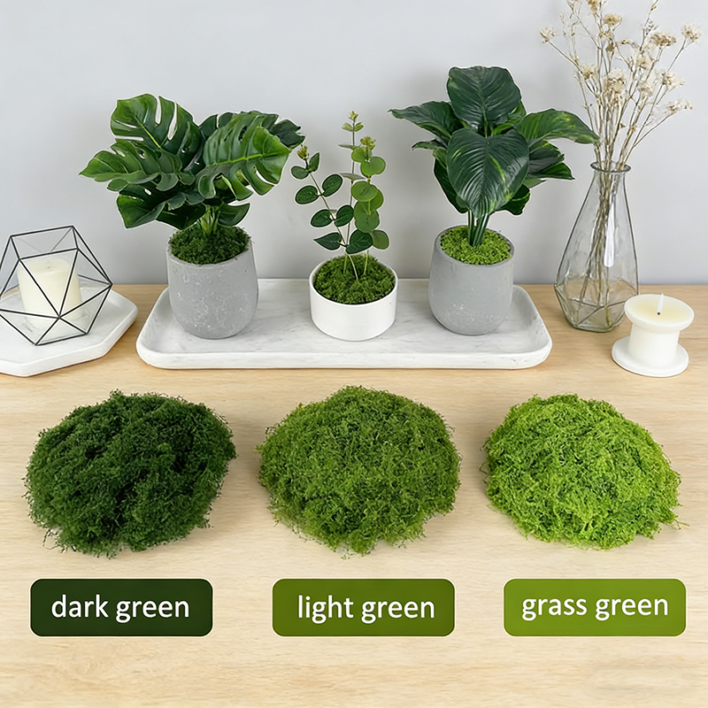 Artificial simulation of moss  - Terrarium Moss Art incelemesi ve fiyatı