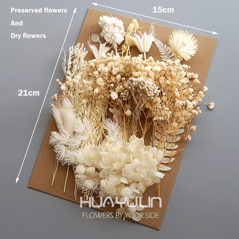 1 Pack Artificial Plants Dried - Flower Preservation Resin incelemesi ve fiyatı